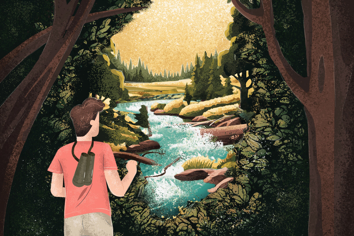 Ilustracja przedstawiająca turystę patrzącego na rzekę pełną bystrz i powalonych drzew w nurcie